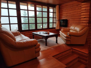 ''Nest'' The Wooden Suite by Ski Alure